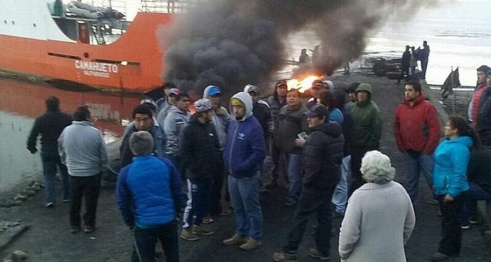 Blokader stopper chilensk lakseproduksjon. Foto: Salmon Expert.