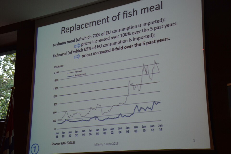 - Bør bruke mer insektsmel i fiskefôr (bør leses av PÅL)
