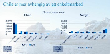 Illustrasjonsbilde viser at Norge ikke er avhengig av et enkeltmarked, slik som konkurrenten Chile er. Foto: Sjøtmatrådet. 
