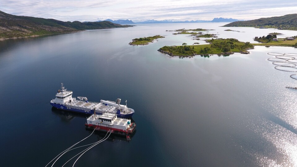 Mortenlaks satser grønt, og har investert i batteripakke for å bedre klimaavtrykket. Foto: Mortenlaks Mortenlaks satser grønt, og har investert i batteripakke for å bedre klimaavtrykket. Foto: Mortenlaks