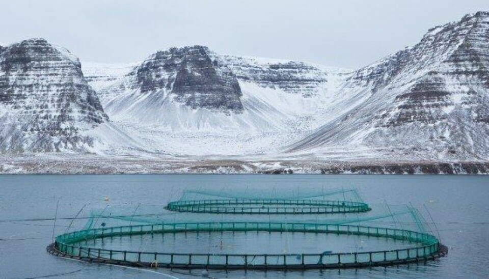En av Icelandic Salmon sine lokaliteter på Island.