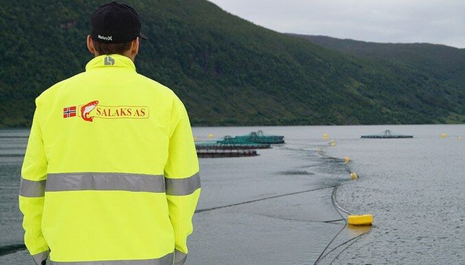 Sigrun Wiggen Prestbakmo er Sp-ordfører i Salangen kommune, der Salaks blant annet driver med oppdrett.