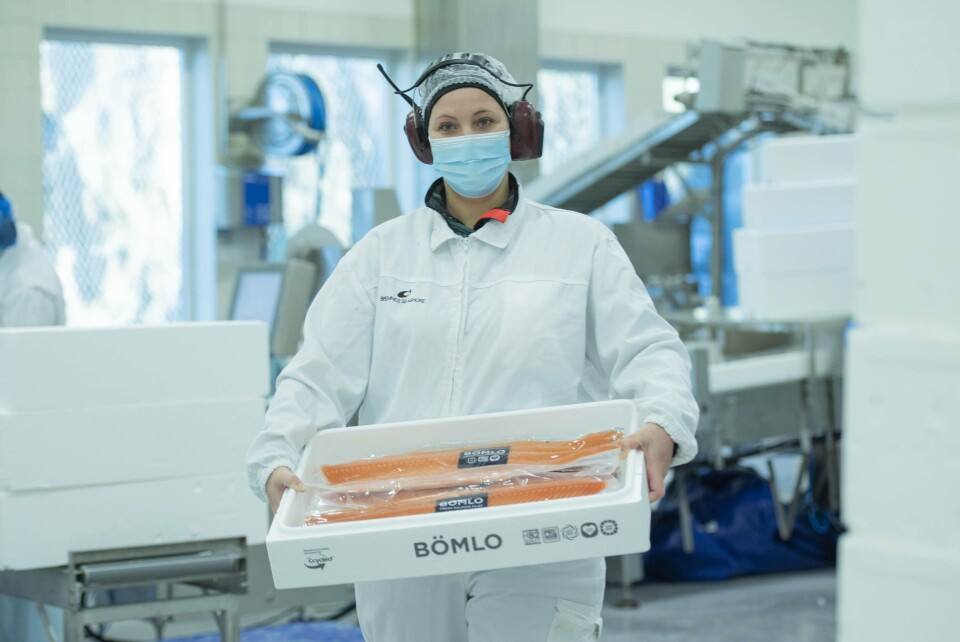 Gjennom eit felles prosjekt mellom Vartdal Plast, BASF og Bremnes Seashore, vert oppdrettsselskapet frå Bømlo etter sigande det fyrste i verda til å kommersielt ta i bruk fiskekasser laga av råstoffet Ccycled. Foto: Bremnes Seashore.