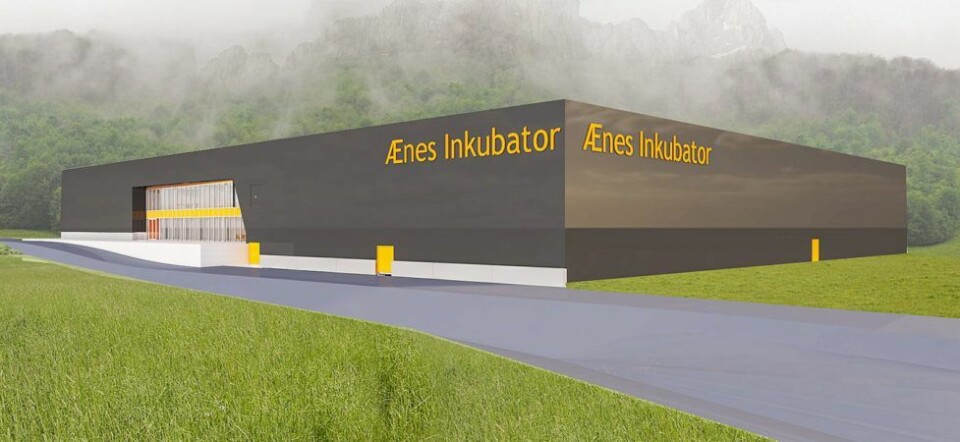 Ænes Inkubator-kontrakt inngått