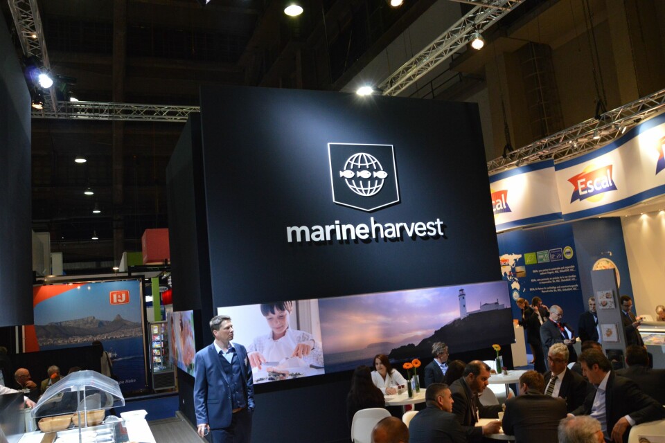 Marine Harvest, Brussel