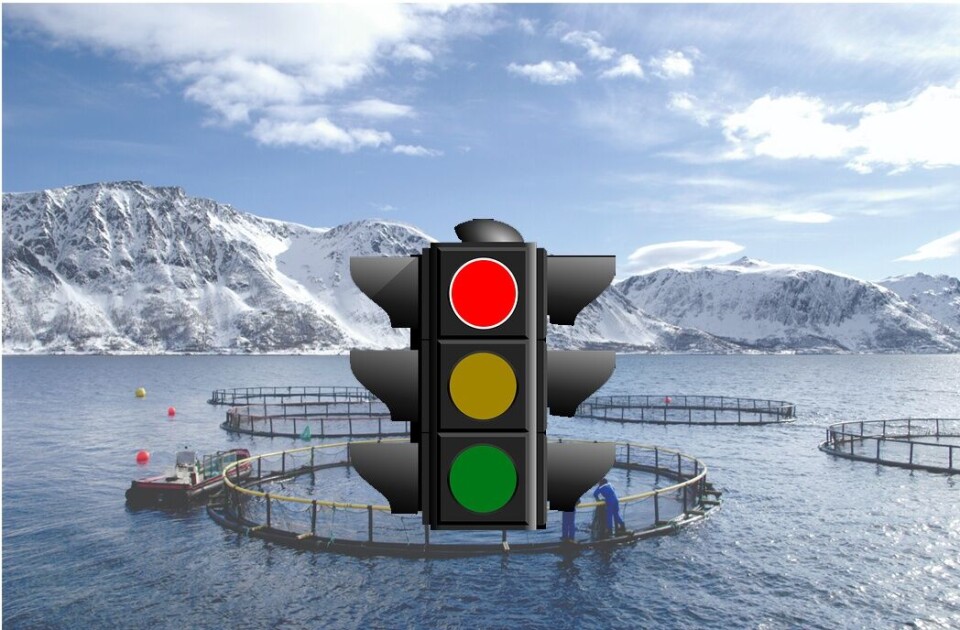 Trafikklyssystemet avgjør mulighet for vekst ut fra påvirkning fra lakselus på vill laksefisk. Fotomontasje av Kyst.no Trafikklyssystemet avgjør mulighet for vekst ut fra påvirkning fra lakselus på vill laksefisk. Fotomontasje av Kyst.no
