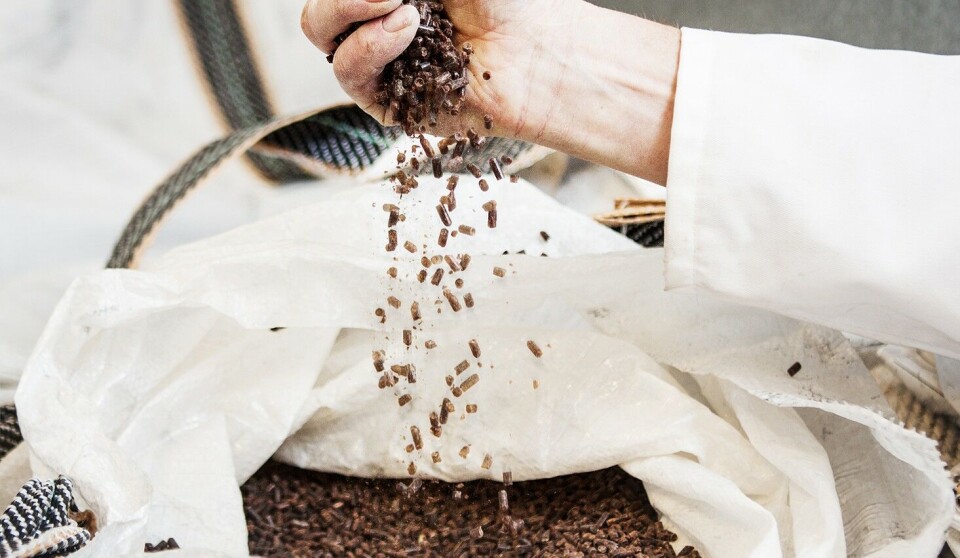 Calystas FeedKind-protein kan nå brukes i laksefôr i USA. Calystas FeedKind-protein kan nå brukes i laksefôr i USA.
