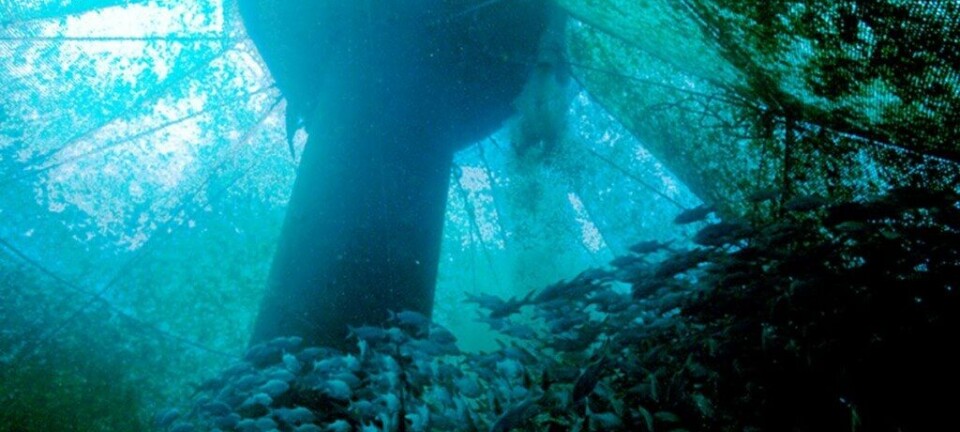 Politicians strengthen bid to take the chains off US aquaculture