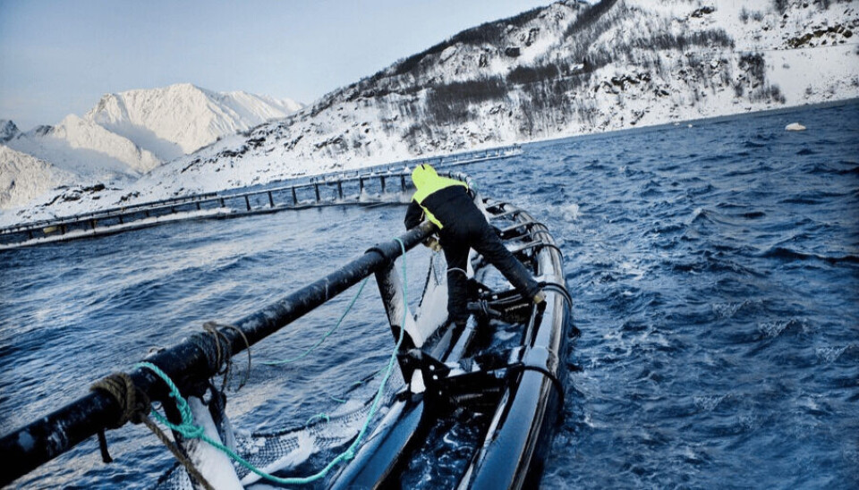En av Grieg Seafood sine lokaliteter i Finnmark. En av Grieg Seafood sine lokaliteter i Finnmark.