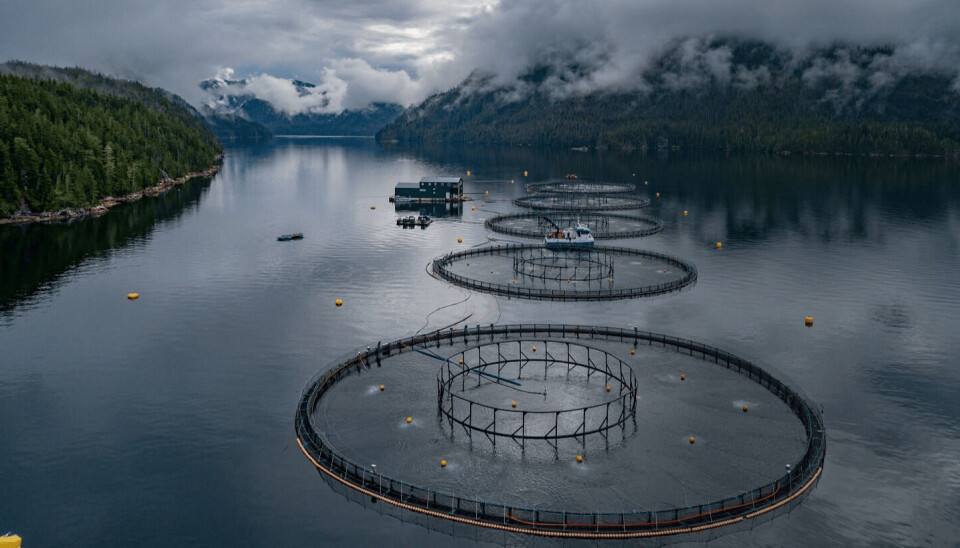 En av Grieg Seafood sine lokaliteter i British Columbia, Canada.
