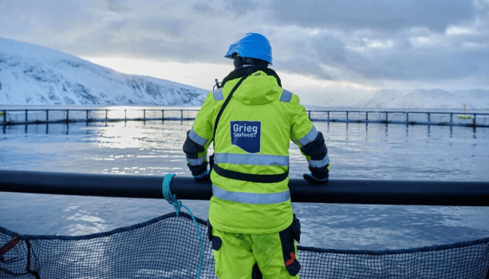 Årets siste kvartal av 2023 ble utfordrende for Grieg Seafood.