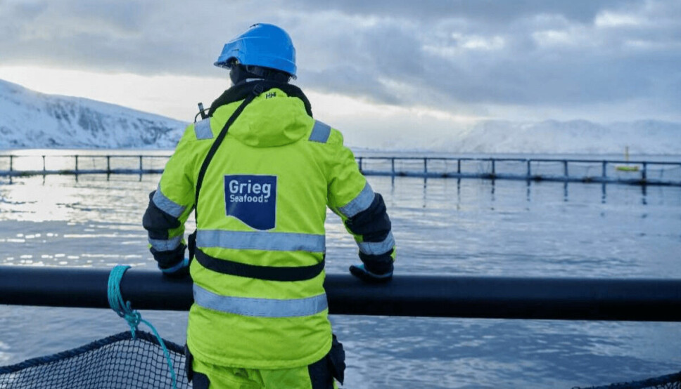 Grieg Seafood is considering issuing a green bond, used to fund projects with environmental benefits. Photo: Grieg.