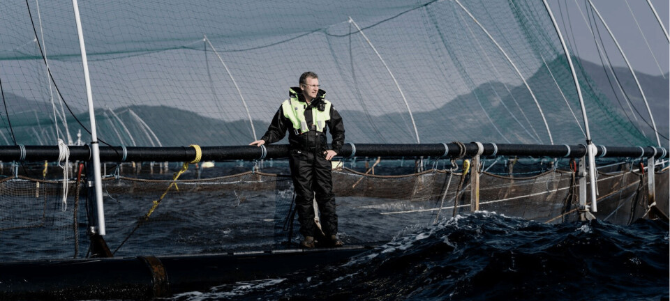 Biologisk trøbbel for Grieg Seafood i første kvartal