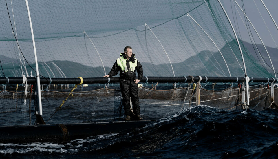 Grieg Seafood-sjef Andreas Kvame håper at Stortinget gjør endringer i forslaget om grunnrenteskatt på laks og ørret.