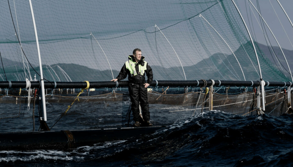 Grieg Seafood chief executive Andreas Kvame at the cage edge in Norway. Grieg intends to raise a further NOK 500m with a 'tap issue' of an existing green bond. Photo: Grieg Seafood.