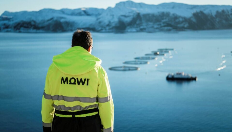 2022 var et bedre økonomisk år for Mowi enn 2021. 2022 var et bedre økonomisk år for Mowi enn 2021.