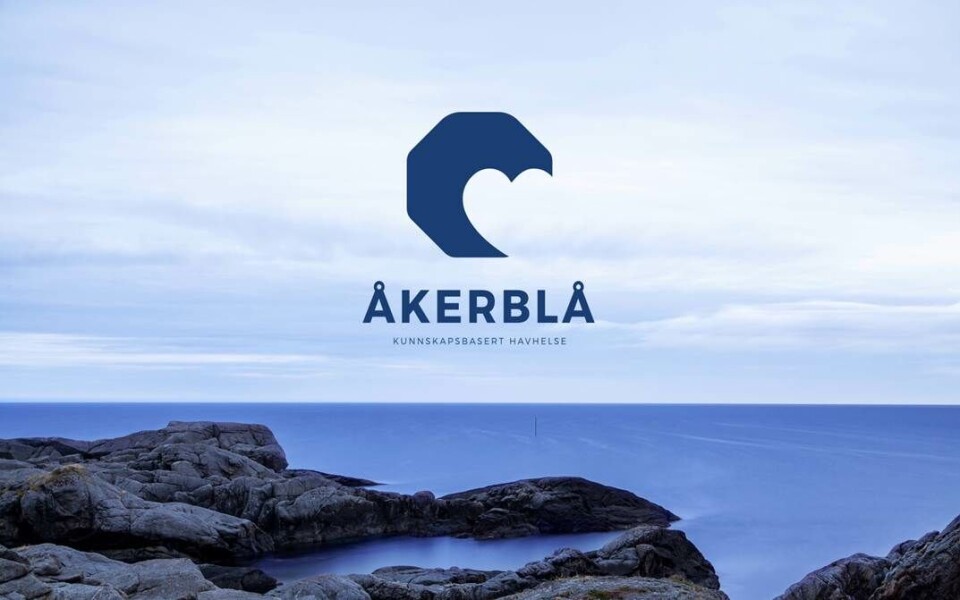 Selskapets logo. Foto: Åkerblå. Selskapets logo. Foto: Åkerblå.