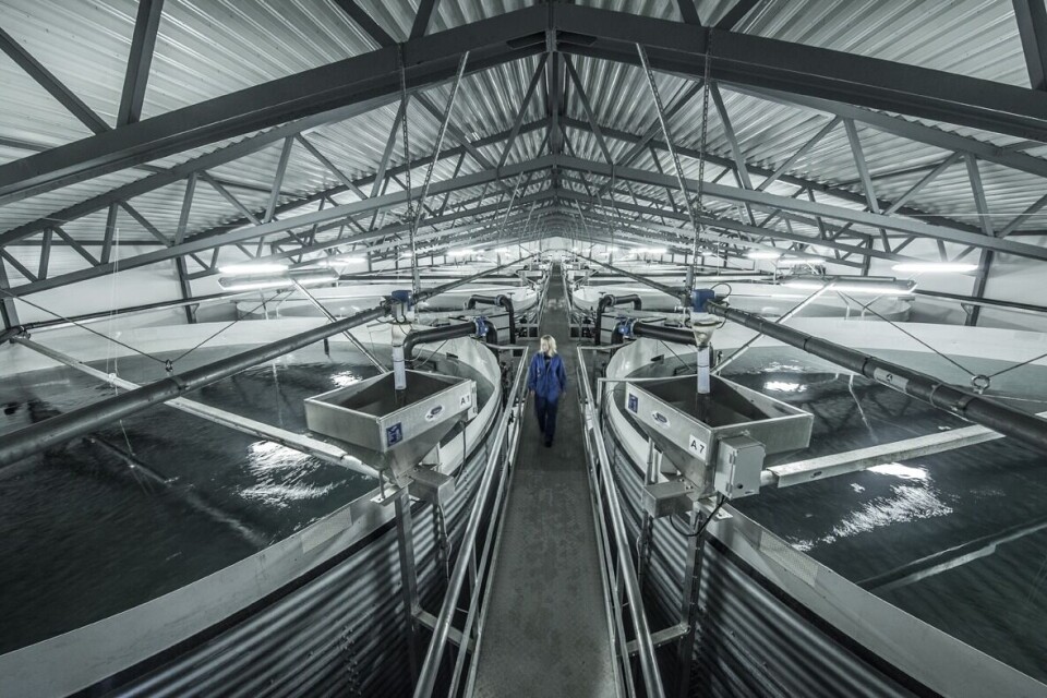 AKVA Group åpner et nytt kontor i Trondheim med fokus på RAS. Foto: AKVA Group