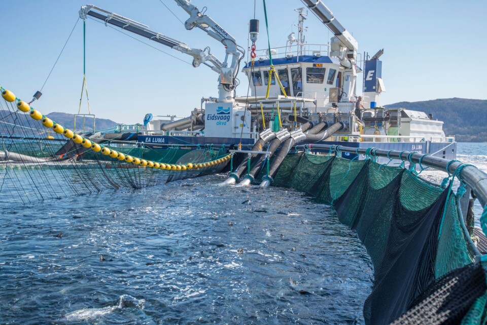 Avtalen mellom AKVA group og Flatsetsund Engineering ble signert denne uken. Foto: AKVA group