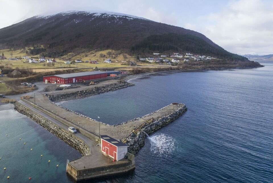 Dronebilde av Profunda viser eksisterende anlegg, moloen og utfylling for neste byggetrinn foran anlegget mot sjøen. Foto: Profunda