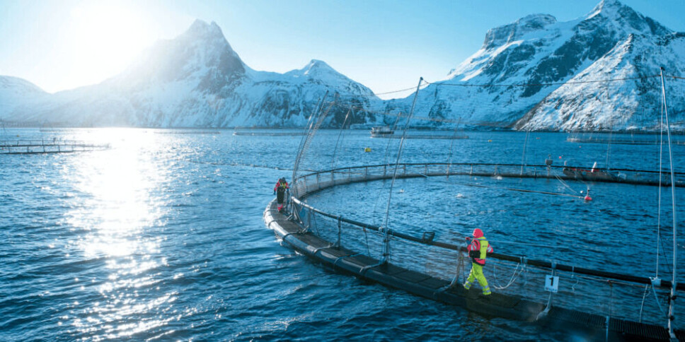 Illustrasjonsfoto av oppdrettsanlegg i Norge.