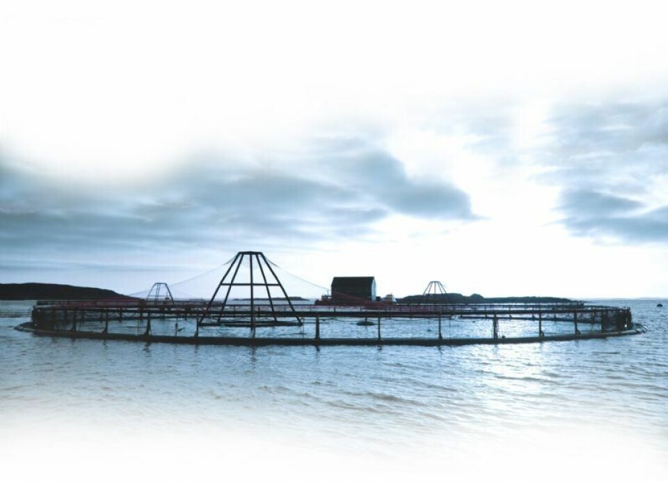 Det har vært en rømming hos SalMar Farming i Lebesby. Foto: SalMar.