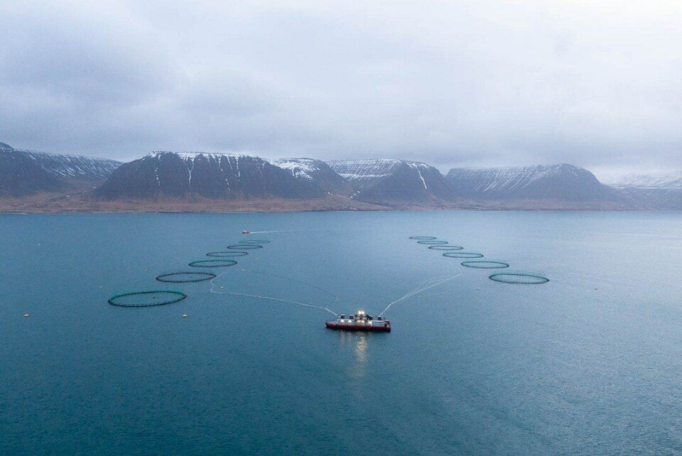 Illustrasjonsfoto: Arctic Fish
