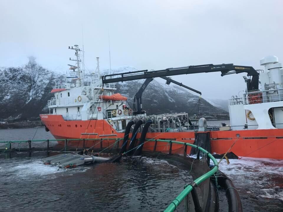 Første avlusing til Aas Kystservice ble gjort med avluseren FLS 3x50t. Foto: Aas Kystservice.