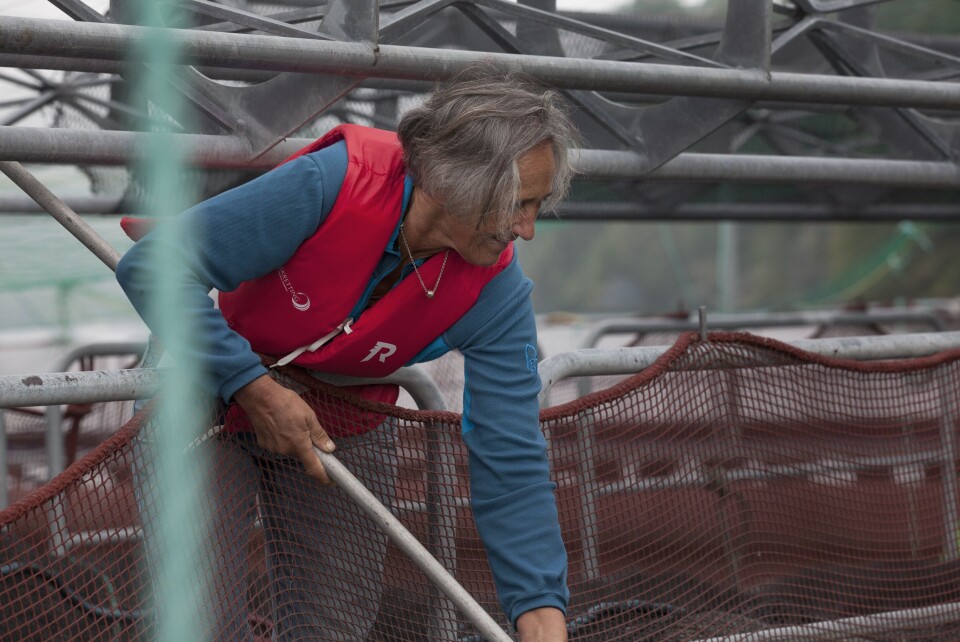 Åsta Haugarvoll i Lingalaks fekk årets aqKva-pris for sitt arbeid blant over mange år i familiebedrifta Lingalaks og Hardanger Akvasenter. Foto: Lingalaks. Åsta Haugarvoll i Lingalaks fekk årets aqKva-pris for sitt arbeid blant over mange år i familiebedrifta Lingalaks og Hardanger Akvasenter. Foto: Lingalaks.