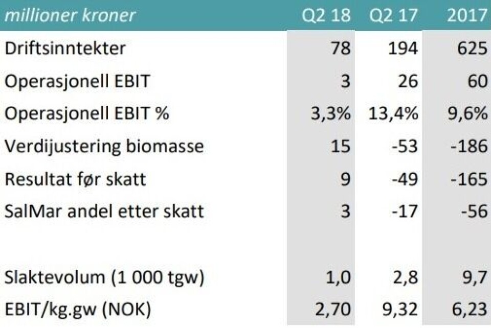Regnskapstall fra Arnarlax HF. Kilde: Salmar Q2-rapport.