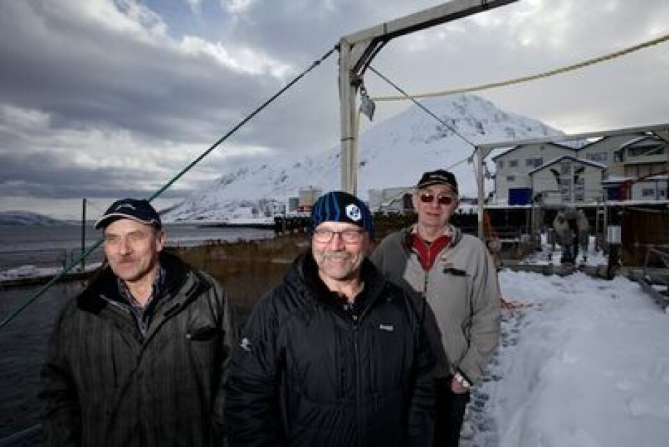 Arnøy Laks er det siste havbruksselskapet nord for Tromsø som er lokalt eid, og eies av tre lokale aksjonærer som bor på Lauksletta: Tor Nygaard, Geir Nygaard, og Reidar Berg. Foto: Arnøy Laks.
