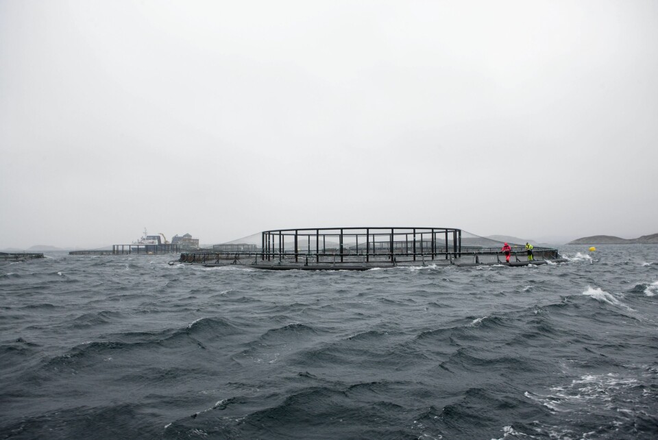 Samspill mellom fartøy og merd i hardt vær, nye oppdrettskonstruksjoner og større skip er eksempler på hva som kan være krevende fartøysoperasjoner. Foto: SINTEF / Geir Mogen