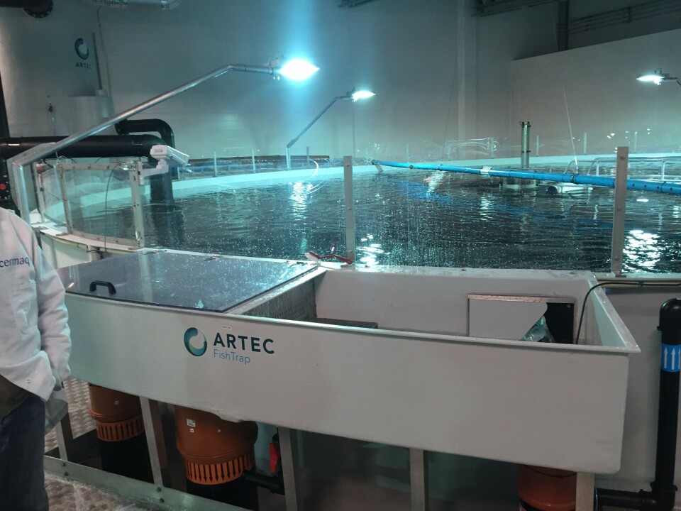 Artec Aqua har levert utstyret til Cermaqs nye settefiskanlegg i Forsan, der det kan produseres 12 millioner smolt. Foto: Bjørn Finnøy/Artec Aqua. Artec Aqua har levert utstyret til Cermaqs nye settefiskanlegg i Forsan, der det kan produseres 12 millioner smolt. Foto: Bjørn Finnøy/Artec Aqua.