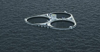 Astafjord Ocean Salmon får medhold i klagesak