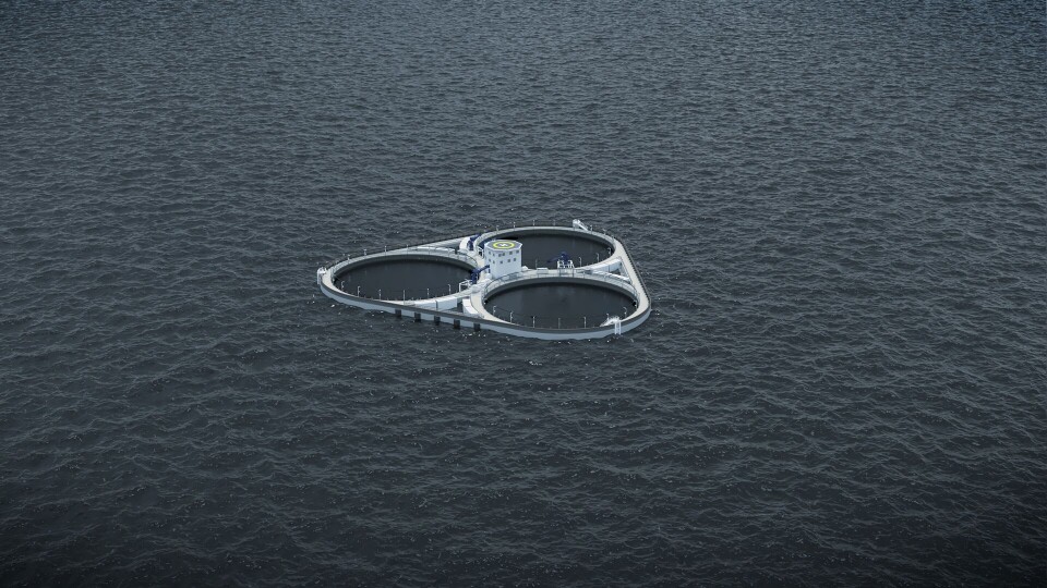 Astafjord Ocean Salmon vil bygge oppdrettsplattform i betong gjennom utviklingstillatelser. Astafjord Ocean Salmon vil bygge oppdrettsplattform i betong gjennom utviklingstillatelser.