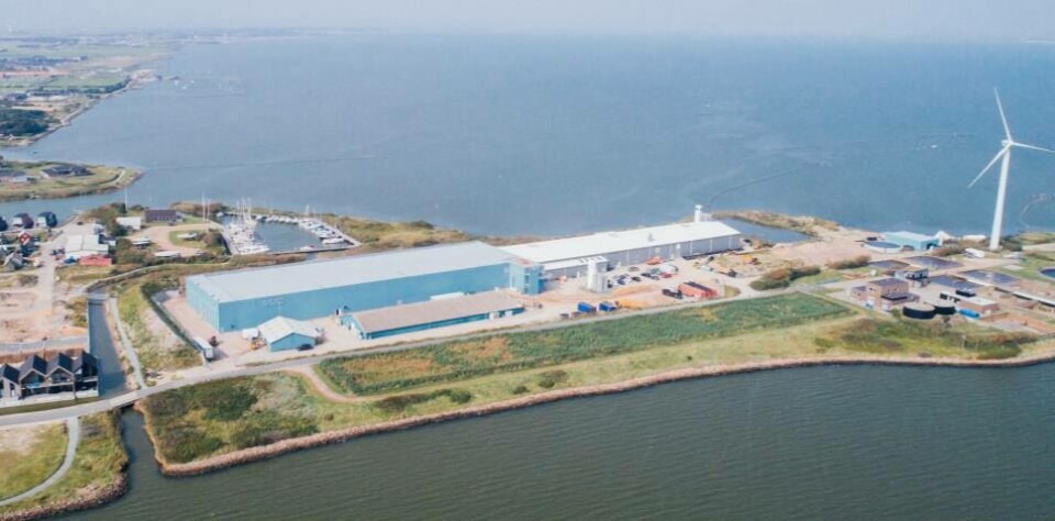 Anlegget i Danmark før brannen. Foto: Atlantic Sapphire