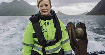 Bedre overlevelse på fisken gjør at resultatet til Nordland Akva øker