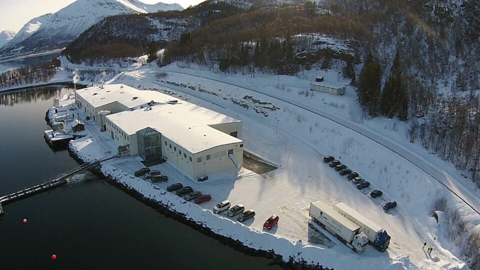 Dronefoto av Astafjord Slakteri med ny fabrikkhall. Foto: Flemming Andersen. Dronefoto av Astafjord Slakteri med ny fabrikkhall. Foto: Flemming Andersen.