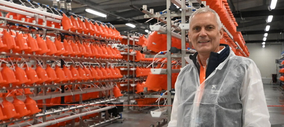 Nytt inkubasjonssenter åpnet på Island: Leverer rogn til landbasert verden over