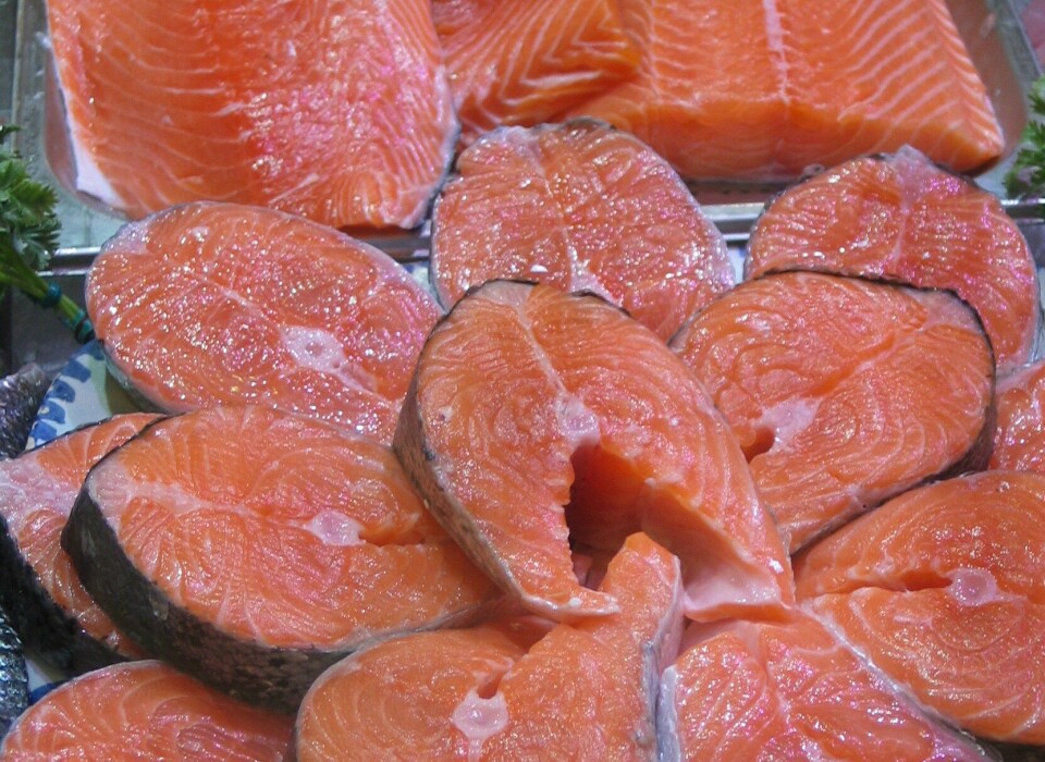 Prislaks laksepris lakseprisbilde