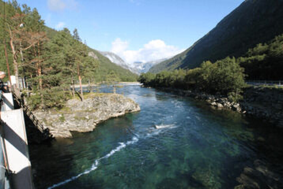 Rotenonbehandling i Rauma