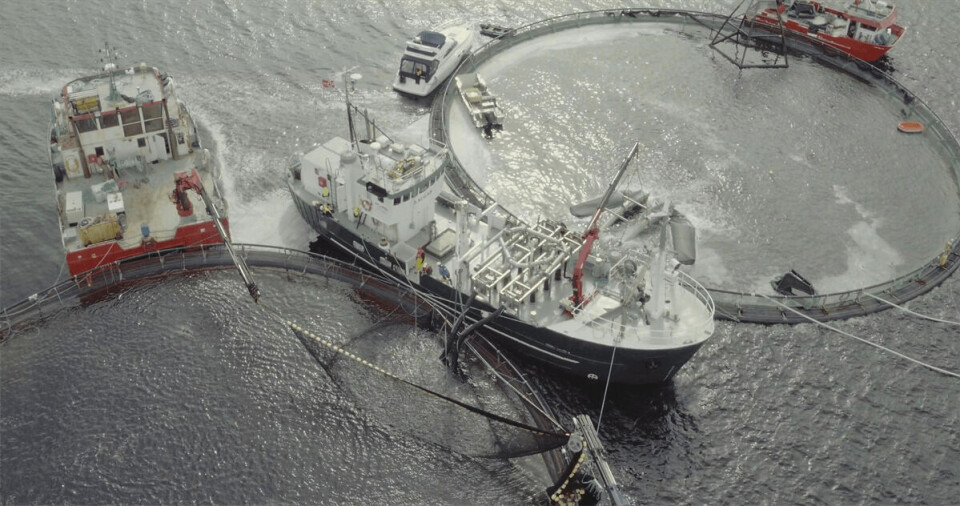 Pure Shipping på avlusingsoppdrag på merdkanten. Foto: K2 Filmproductions.