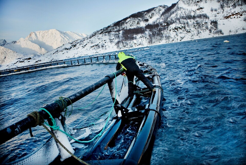 Illustrasjonsfoto: Grieg Finnmark. Illustrasjonsfoto: Grieg Finnmark.