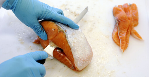 Har undersøkt norsk oppdrettsfisk for legemiddelrester og miljøgifter