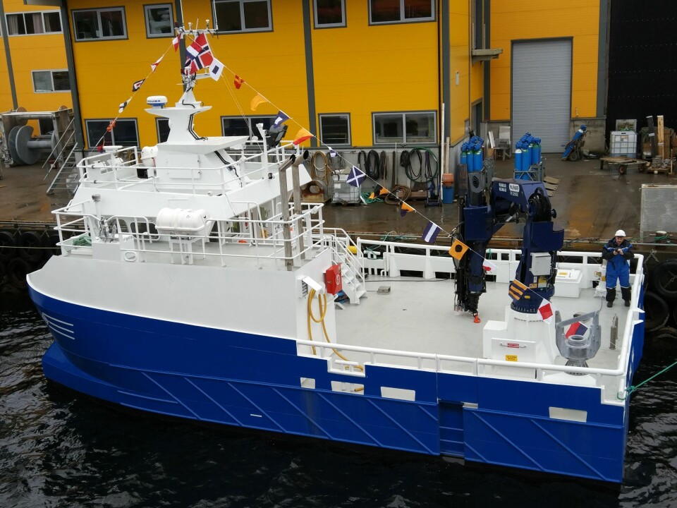 Reidar Viking skal i aksjon for Arnøy laks. Foto: Sletta Verft.