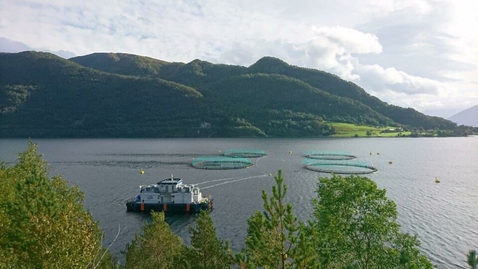 Tombre Fjordfarm er en av to selskaper som har fått opphevet det opprinnelige vedtaket fra Mattilsynet. Foto: Tombre Fiskeanlegg.