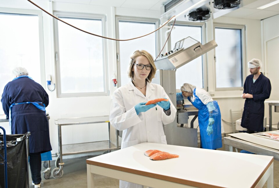 Stipendiat Siri Storteig Horn har undersøkt arvbarheten til hver omega-3-fettsyre. Og hun finner forskjeller i arvbarhet mellom de viktigeste marine fettsyrene EPA og DHA. Foto: Nofima.