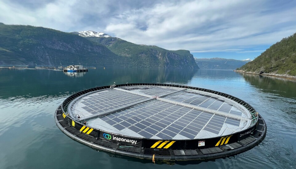 Inseanergy sitt flytende solkraftverk installert ved Hofseth Aqua sitt oppdrettsanlegg på Overåneset i Storfjorden, Møre og Romsdal.