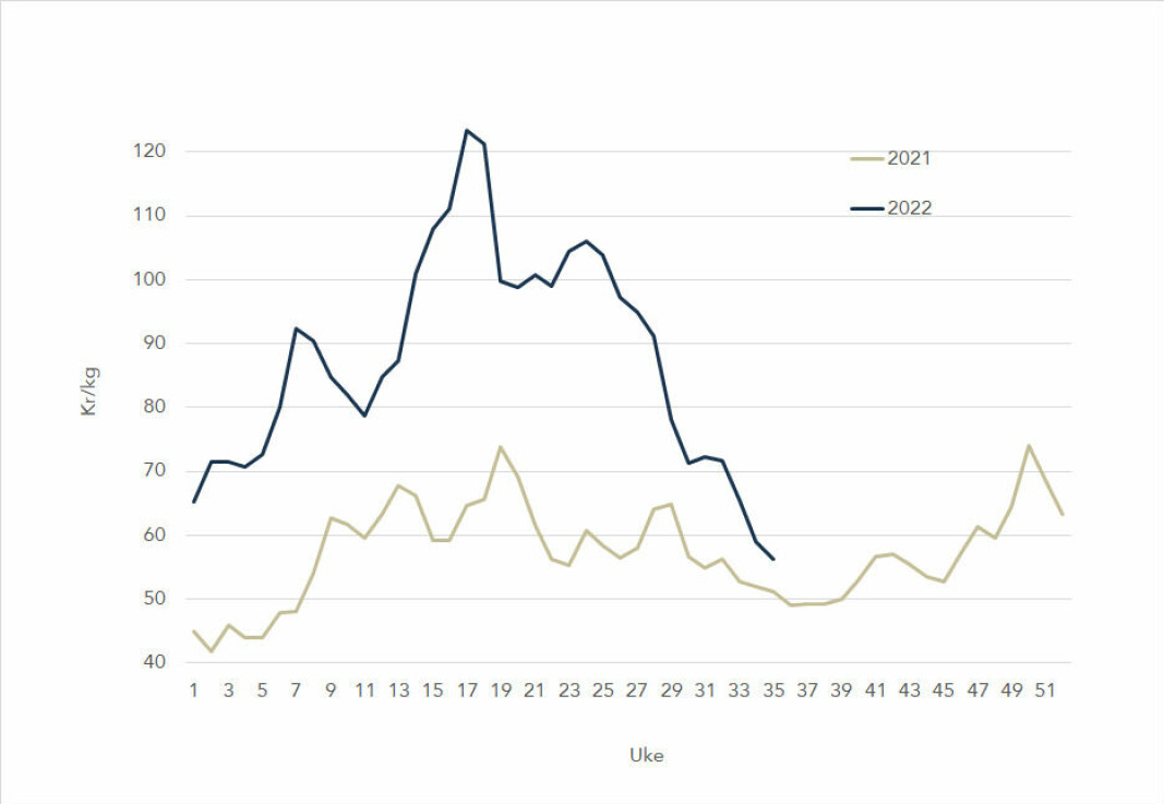 Spotprisen på laks i 2022 (blå) mot 2021 (grå).