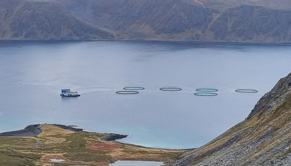 Grieg Seafood Finnmark sin lokalitet Vannfjorden.